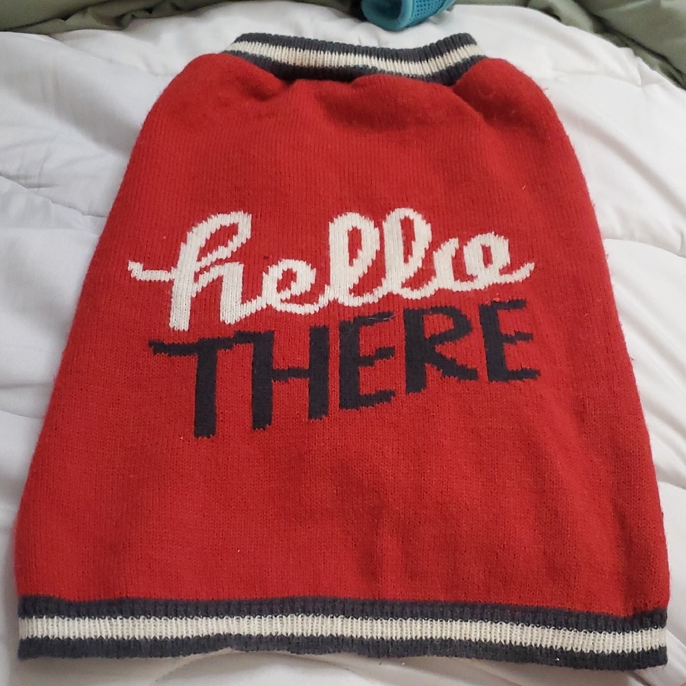Chic Red Dog Sweater with 'Hello There' Design